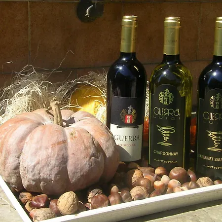 Emma Bed & Breakfast Torreano