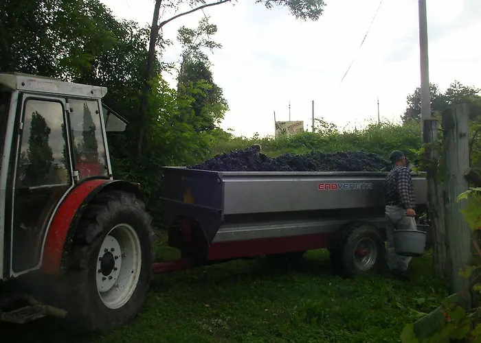 Emma Bed & Breakfast 3*