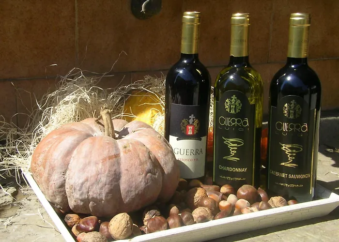 Emma Panzió Torreano