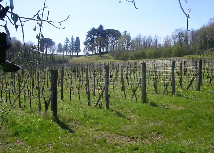 Panzió Emma Torreano